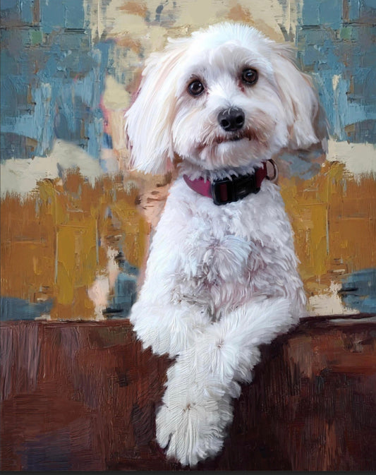 Portrait of Kobe the Maltipoo
