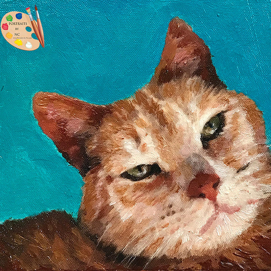 small tabby cat portrait