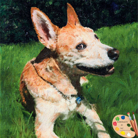 american dingo pet portrait