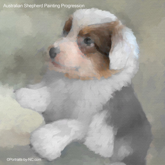Australian Shepherd Puppy Painting Progression