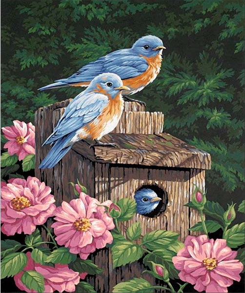 Birds on Birdhouse