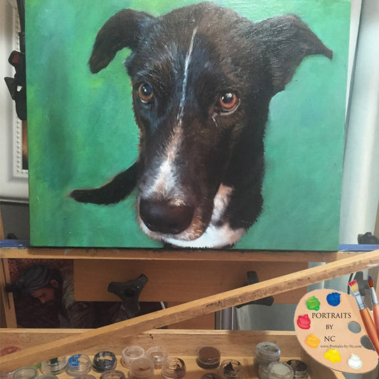 Custom Painted Pet Portraits