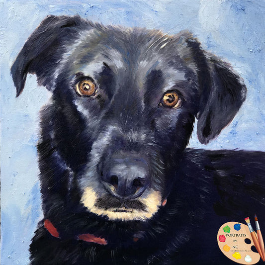 Black Labrador Oil Portrait