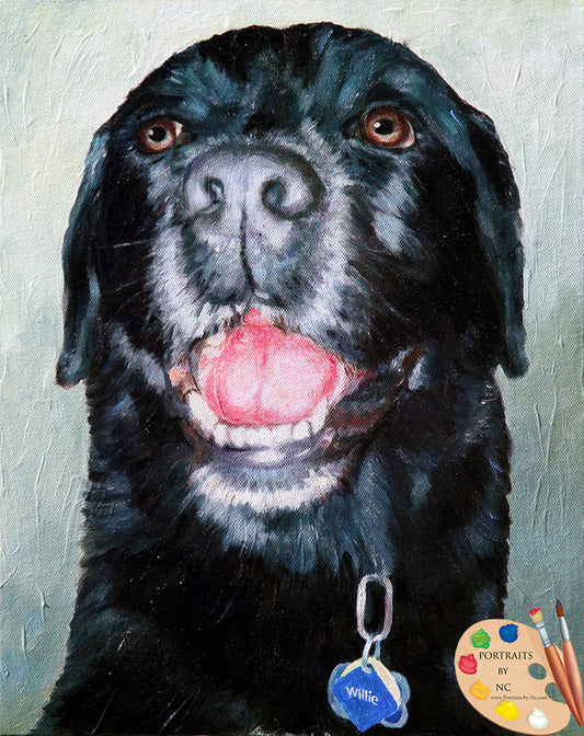 Black Labrador Pet Portrait