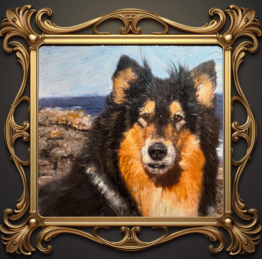 Collie Oil Portrait