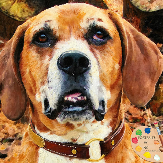 Boxer Mix Portrait