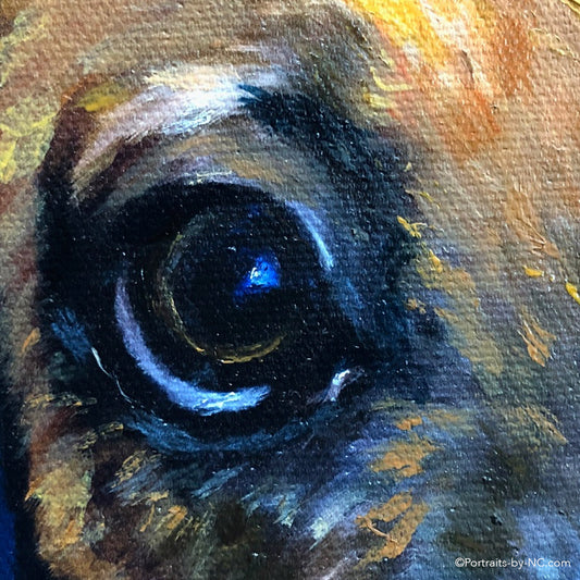 Boxer Puppy eye detail
