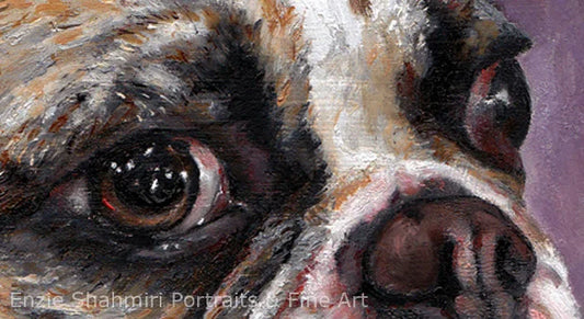 Lilly French Bulldog Eye Detail
