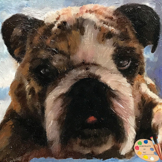 Bulldog-oil-portrait