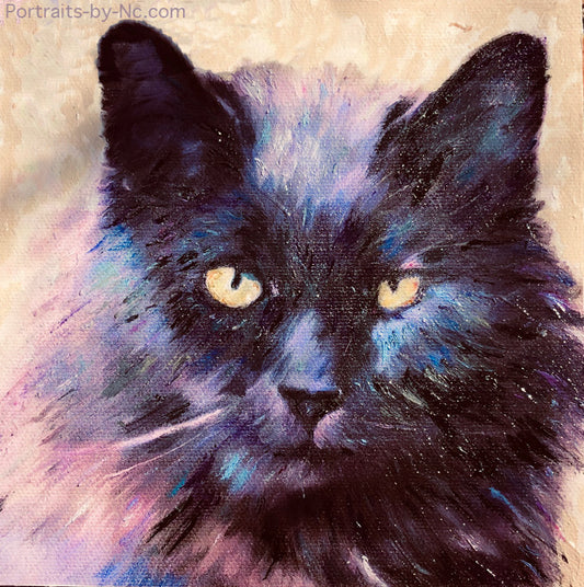 Cat Portrait