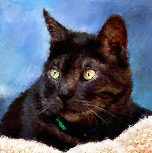 cat oil portrait