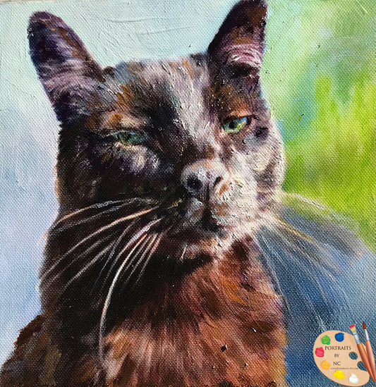 brown cat portrait