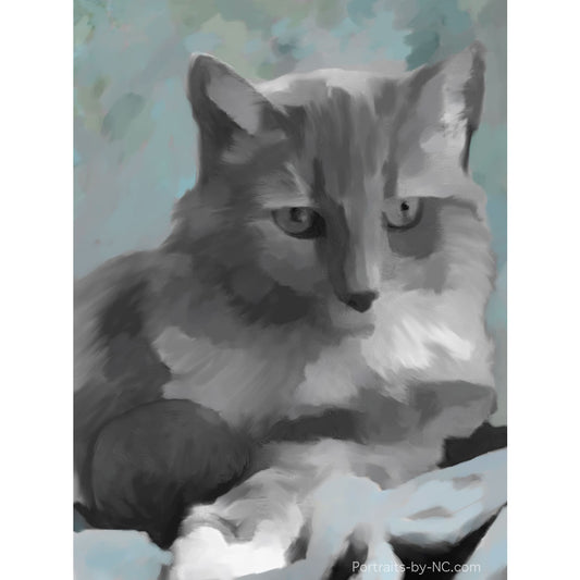 Cat Pet Portrait in Progress