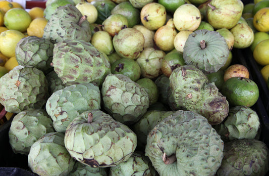 cherimoya 