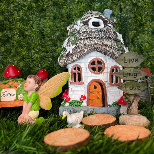 Fairy Garden