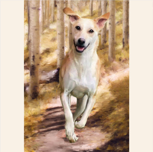 Portrait Commission of a Dog Named Felix