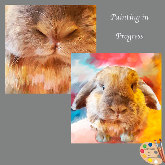 face of Holland Lop 601