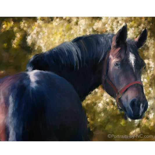 horse portrait in progress