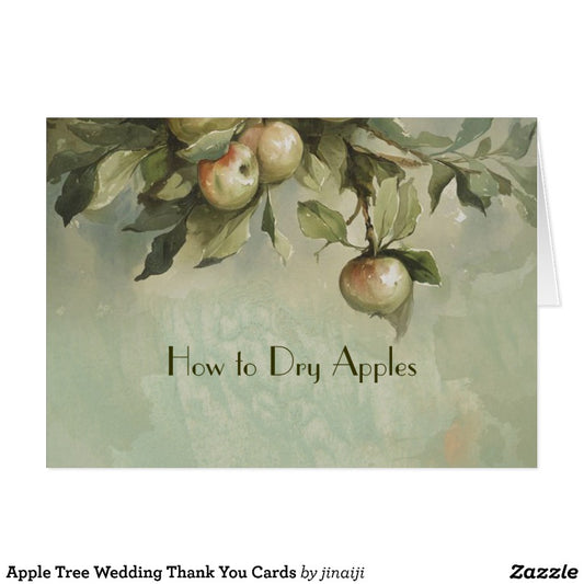 how to dry apples