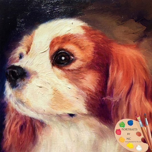 Cavalier King Charles Portrait