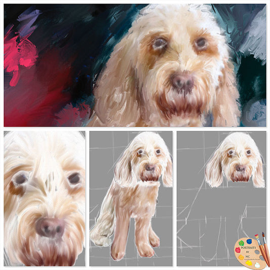 Labradoodle rough sketch