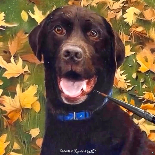 Chocolate Lab Pet Portrait