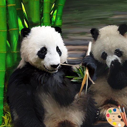 pandas-in-bamboo-grove