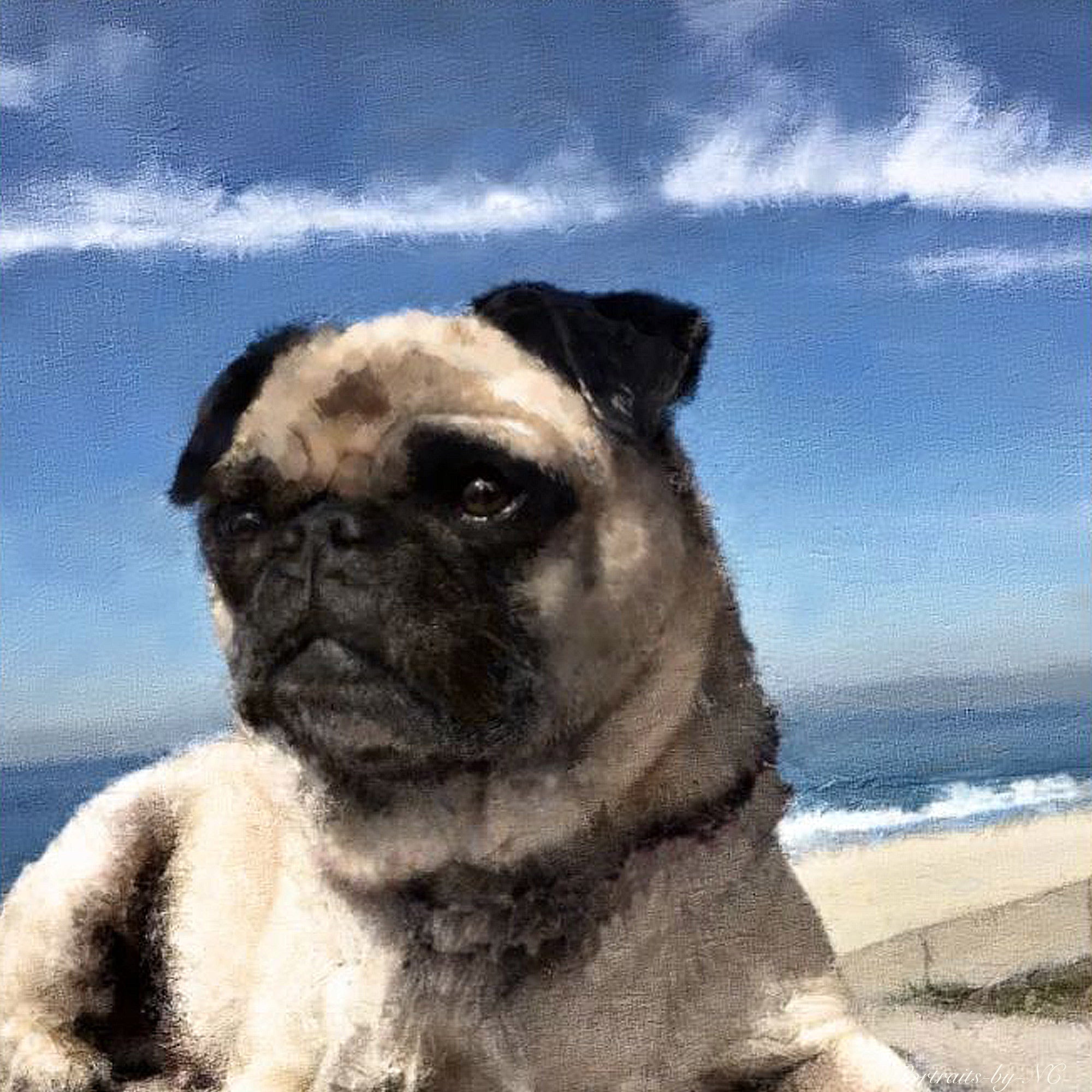 Pug by Beach Portrait – Portraits and Miniatures by NC