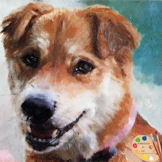 shibu inu dog portrait