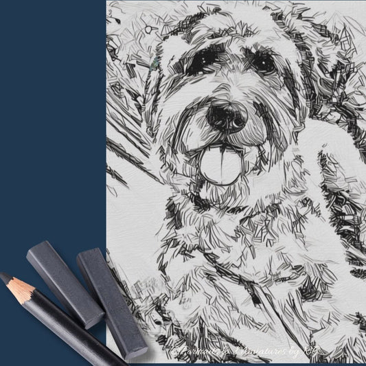 sketch of a Schnauzer