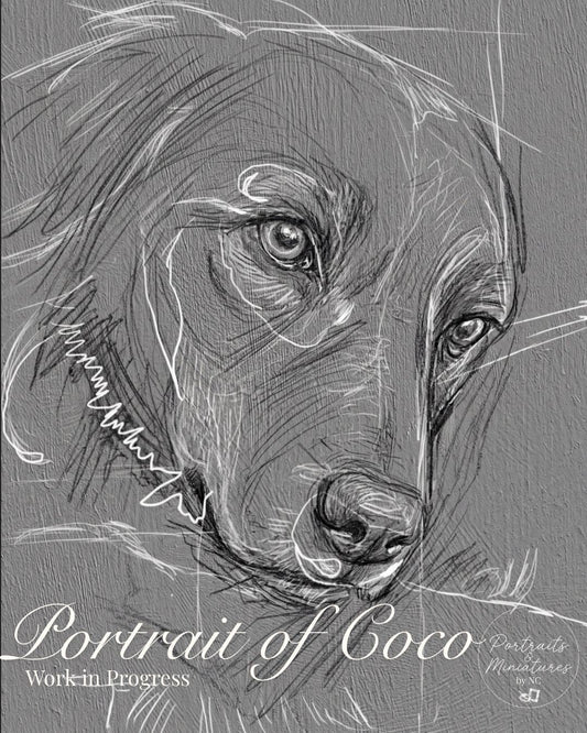 sketch of dachshund 