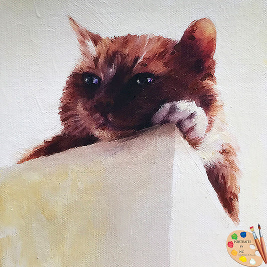 Minimalistic Cat Portrait 519