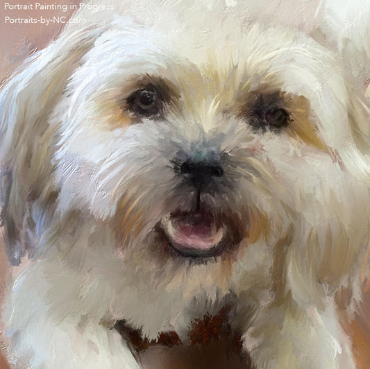 Toy Dog Portrait in Progress