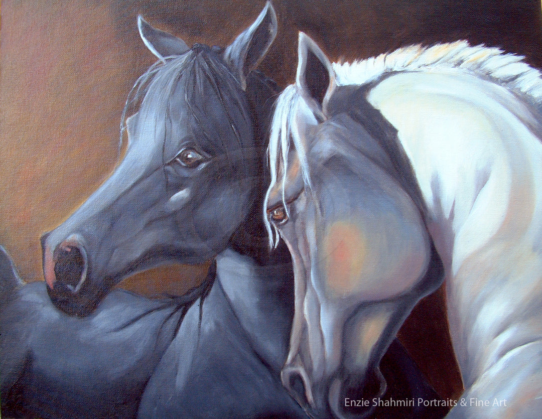 Arabian Horses