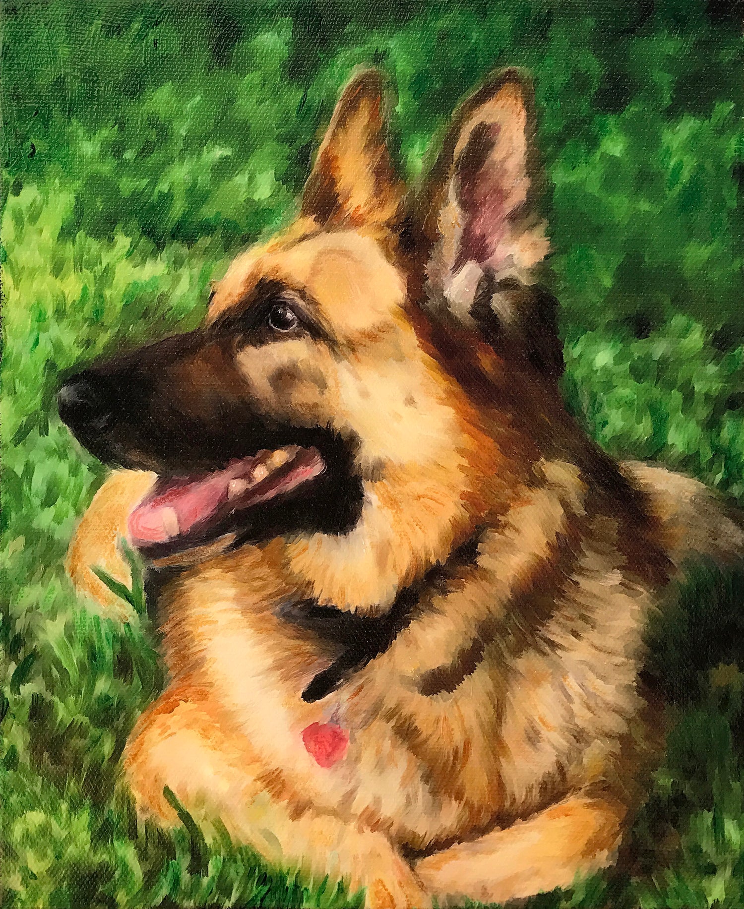 german shepherd