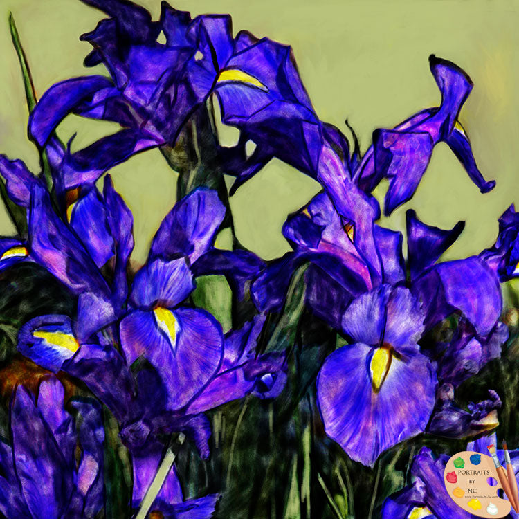 Blue Iris