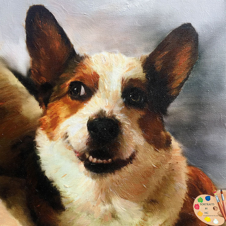 Corgi