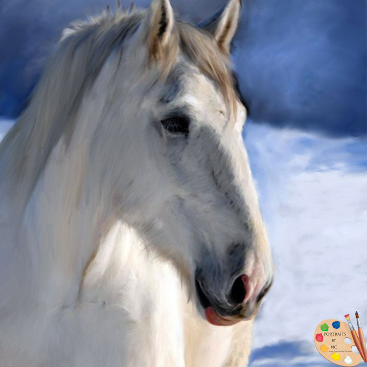 Lipizzaner Horse Portrait