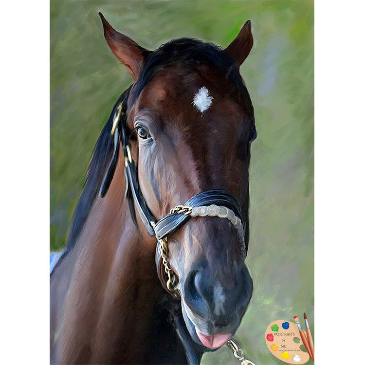 Thoroughbred Horse Portraits