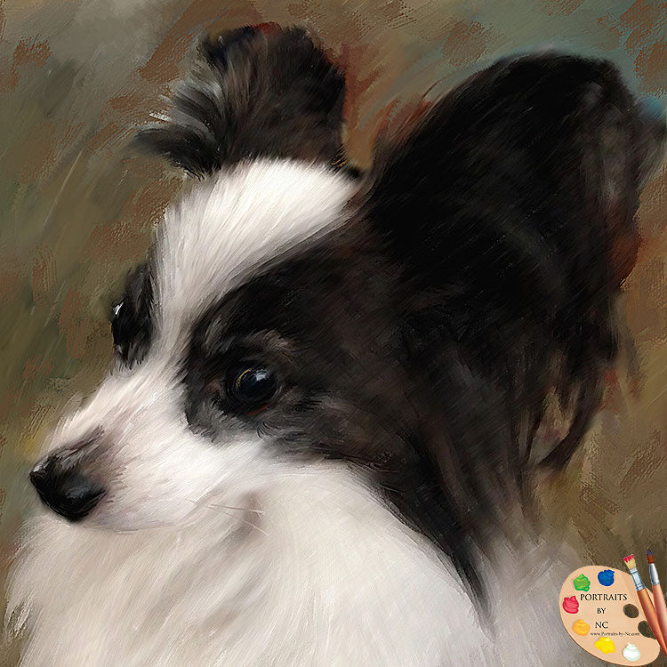 Papillon Dog