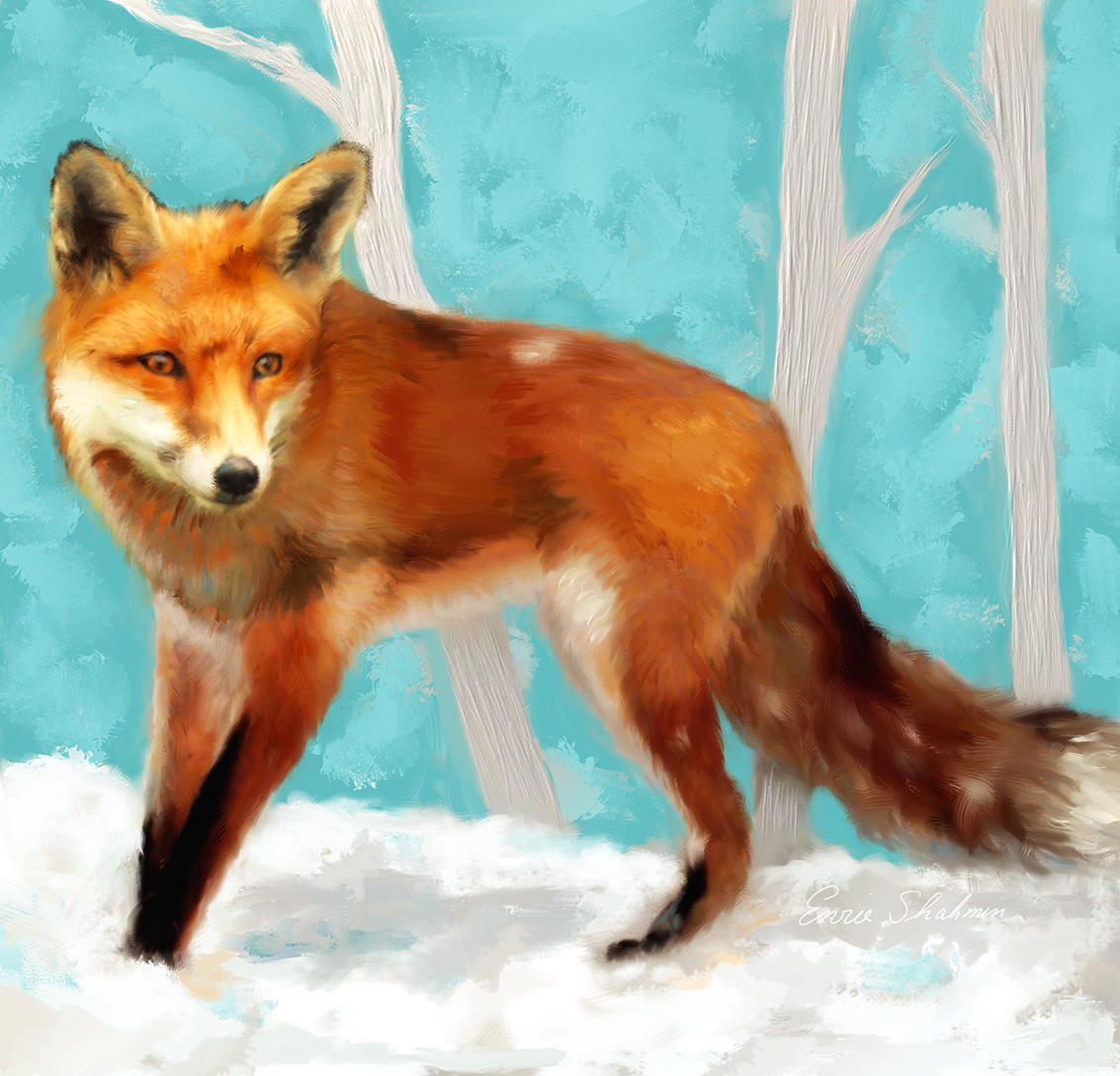 Red Fox