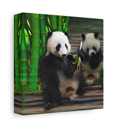 Pandas - Matte Canvas, Stretched, 1.25"