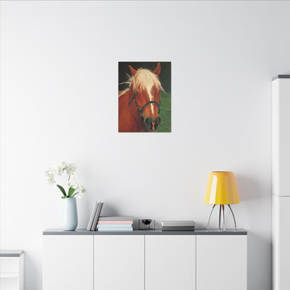 Brown Horse - Gallery Wrap Canvas Print