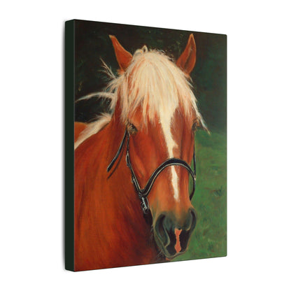 Brown Horse - Gallery Wrap Canvas Print