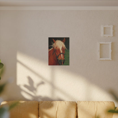 Brown Horse - Gallery Wrap Canvas Print