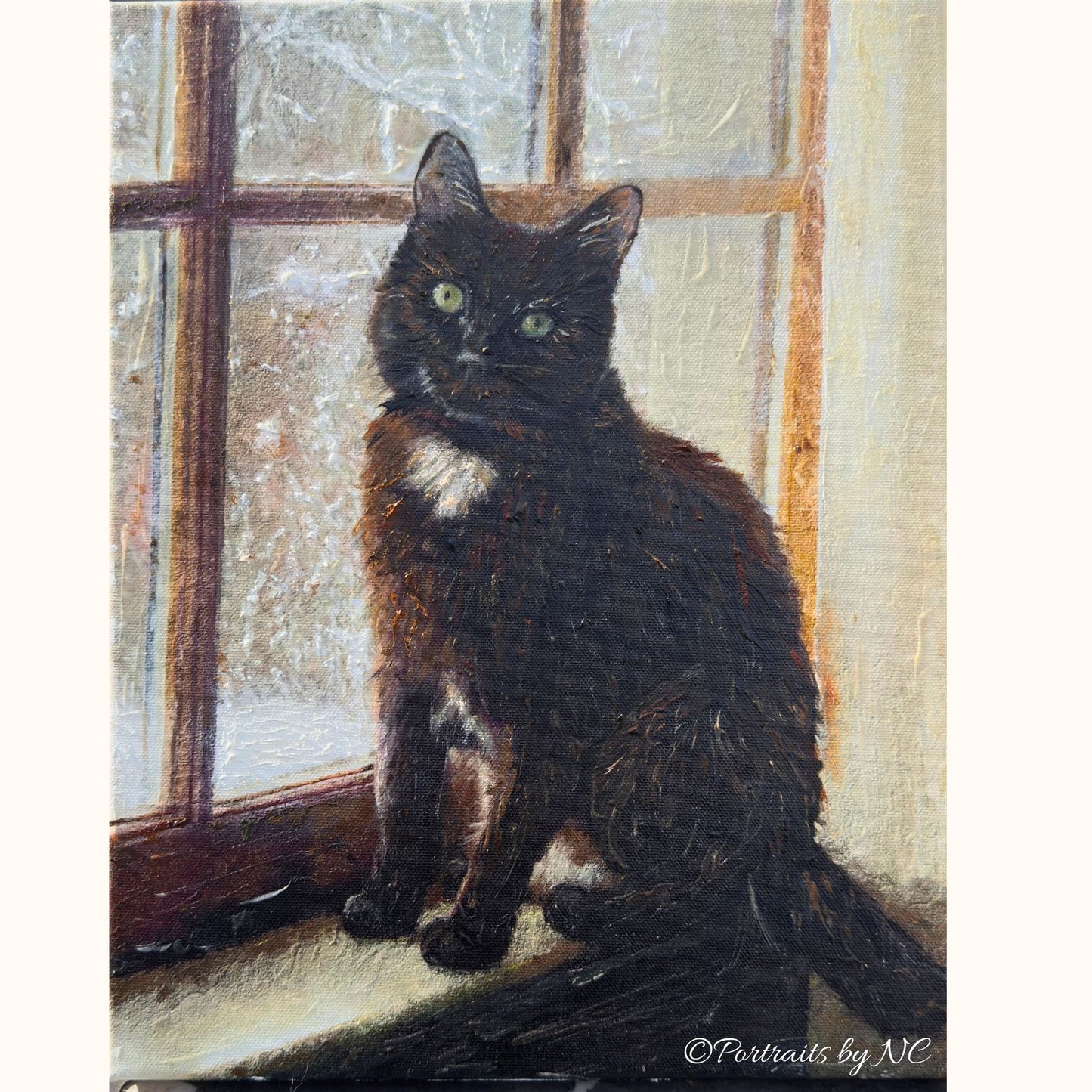 A Winter Cat Portrait to Remember