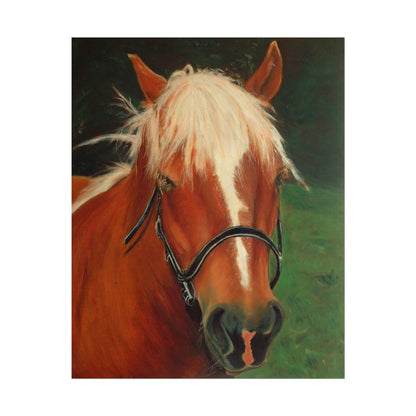 Kunstdruck - braunes Pferd