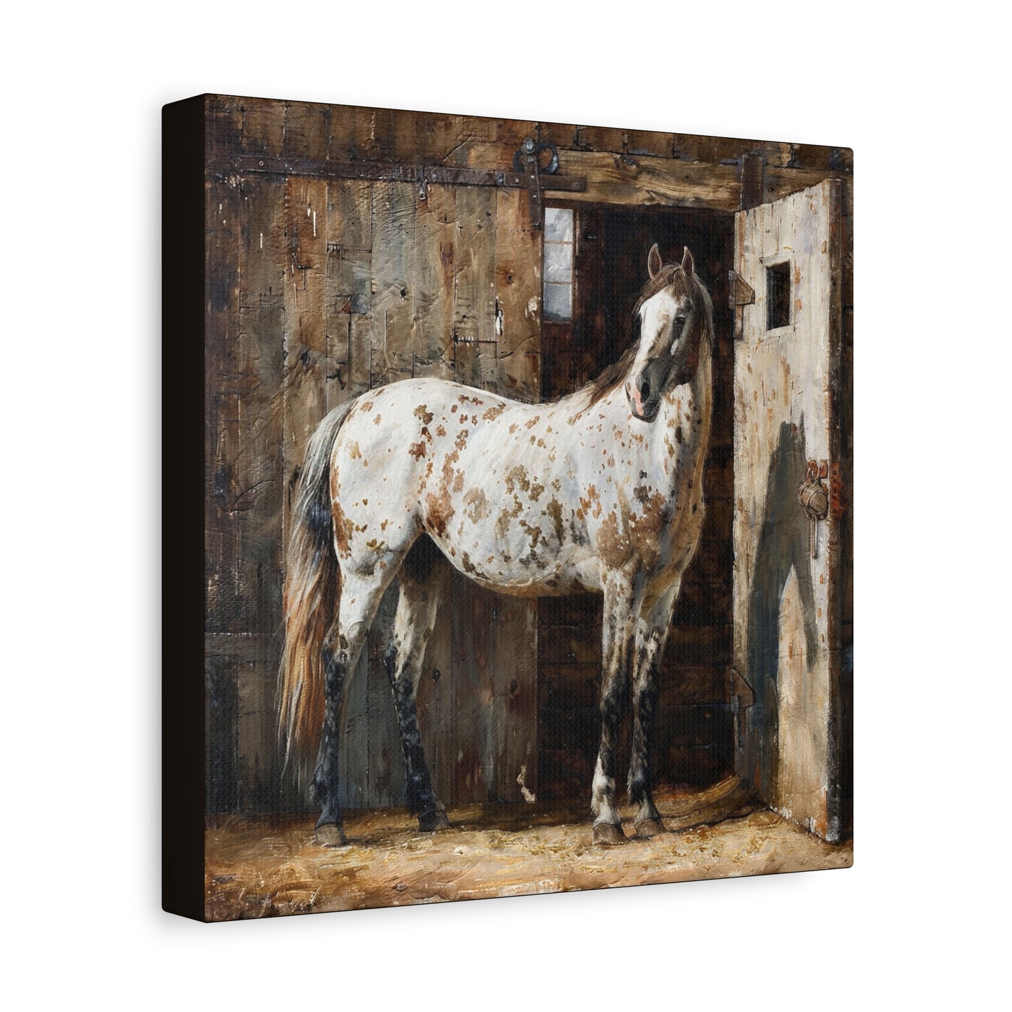 Appaloosa Horse Canvas Wall Art — Rustic Equestrian Stretched Matte Print