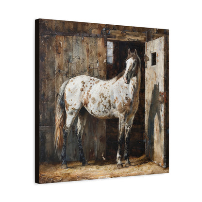 Appaloosa Horse Canvas Wall Art — Rustic Equestrian Stretched Matte Print