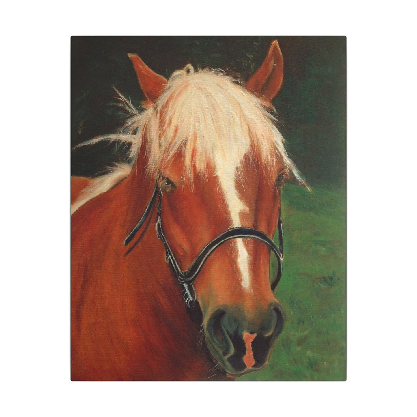 Brown Horse - Gallery Wrap Canvas Print